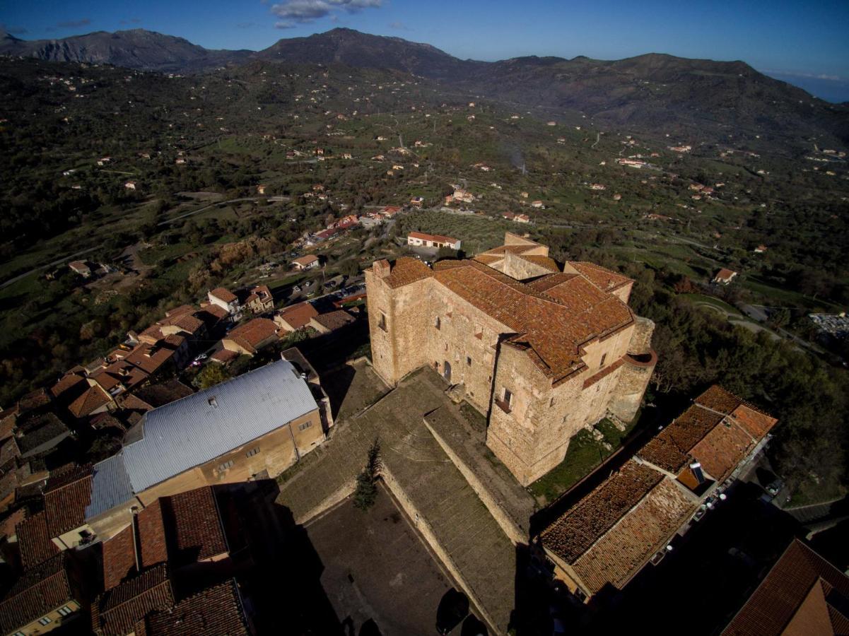 Vetriera41